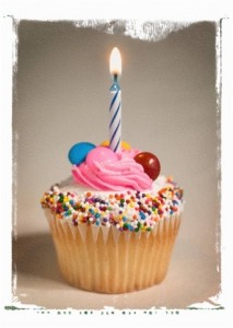 birthday cupcake birthday cupcake